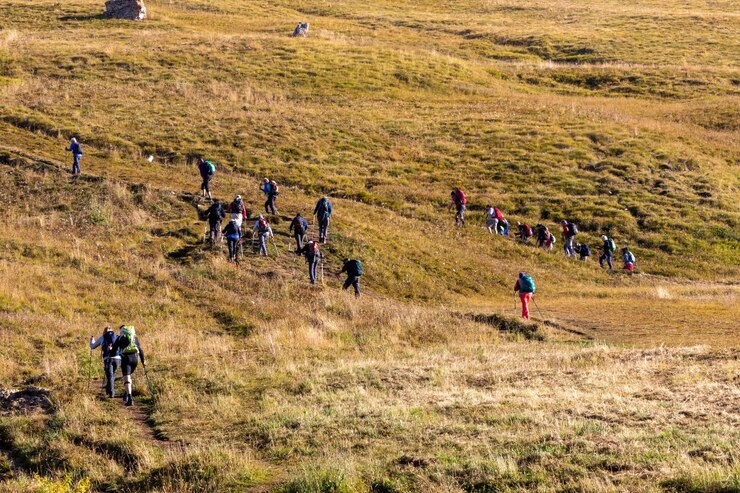 Trail Race Simulations