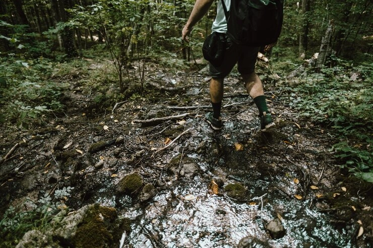 Trail Running in Epping Forest: Grit, Mud & Miles of Pure Singletrack