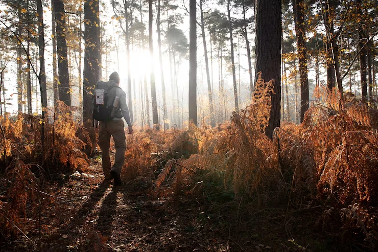 Trail Running Tour in Chiltern Hills – Experience Scenic Trails
