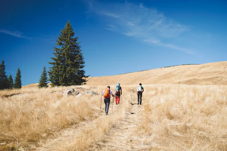 Trail Running Tour in Cotswolds – Enjoy Scenic Trails