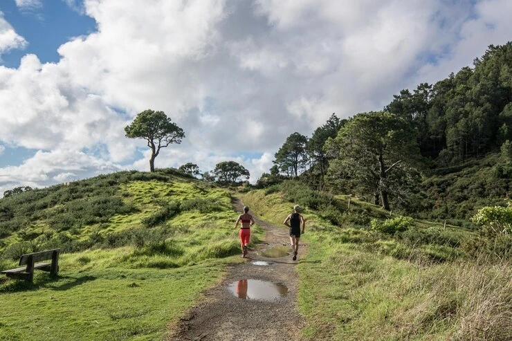 Trail Running Tour in Dartmoor: Running the Tors, Moorland, and River Valleys
