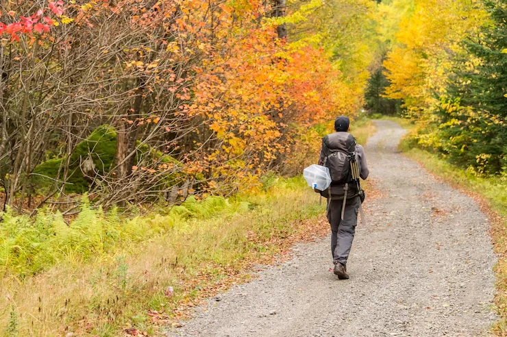 Trail Running Tour in Sussex Downs – Run Through Scenic Trails